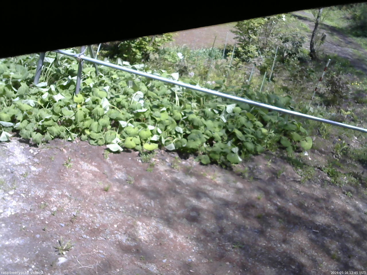 長野県菅平高原 ゆたか山荘 駐車場 2026/05/16 12:45
