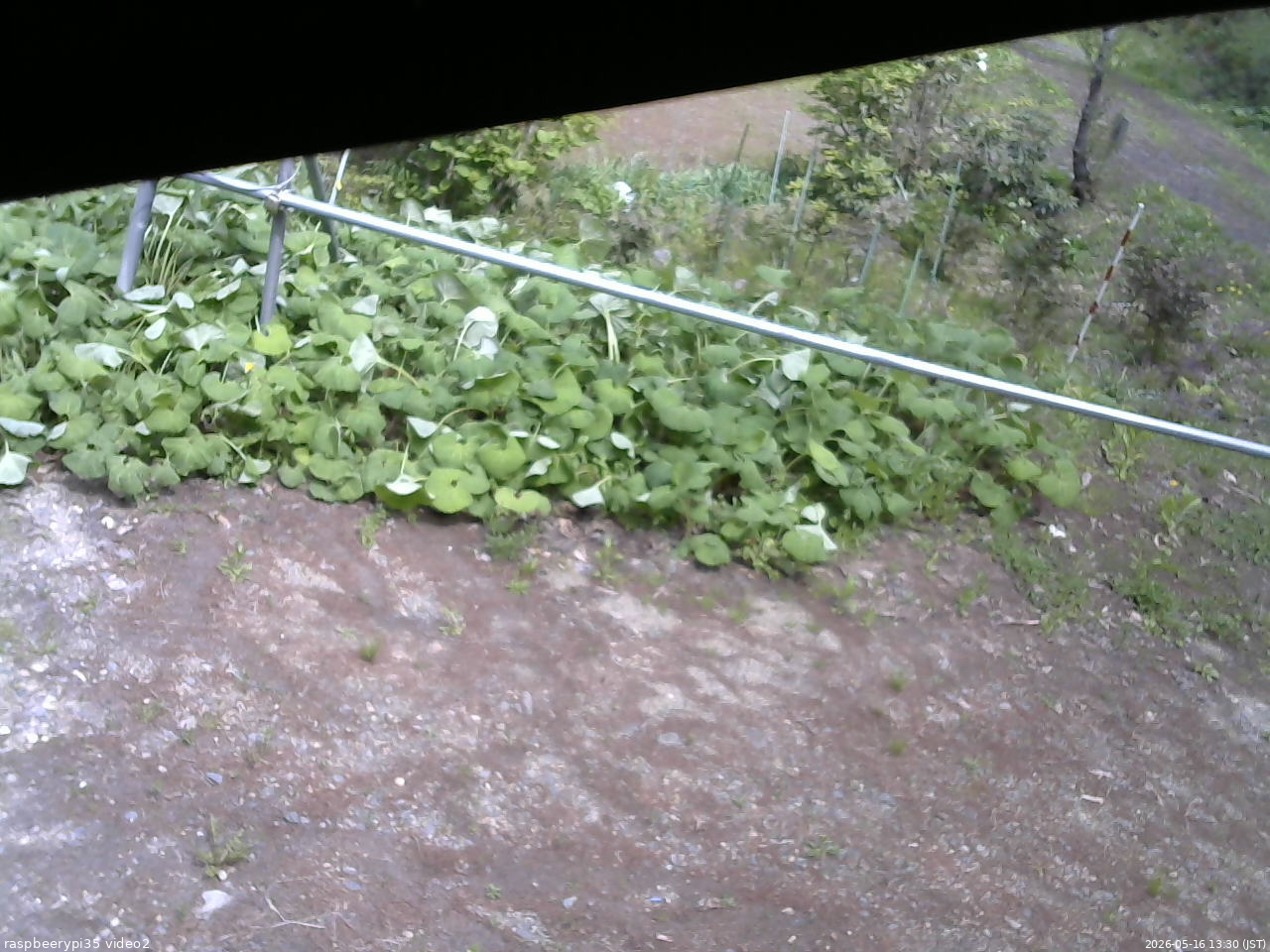 長野県菅平高原 ゆたか山荘 駐車場 2026/05/16 13:30