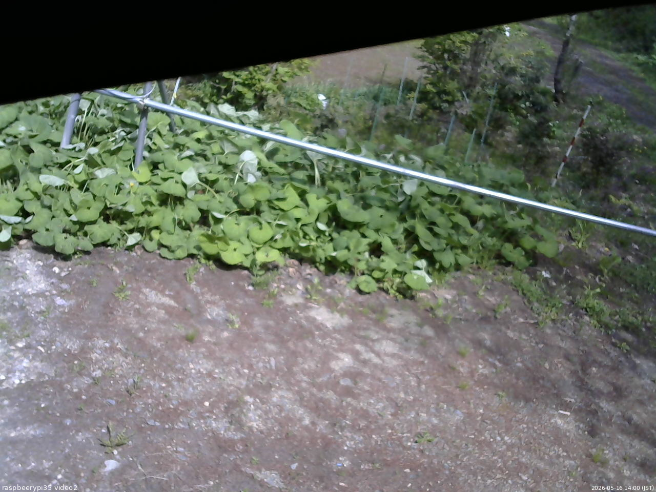 長野県菅平高原 ゆたか山荘 駐車場 2026/05/16 14:00