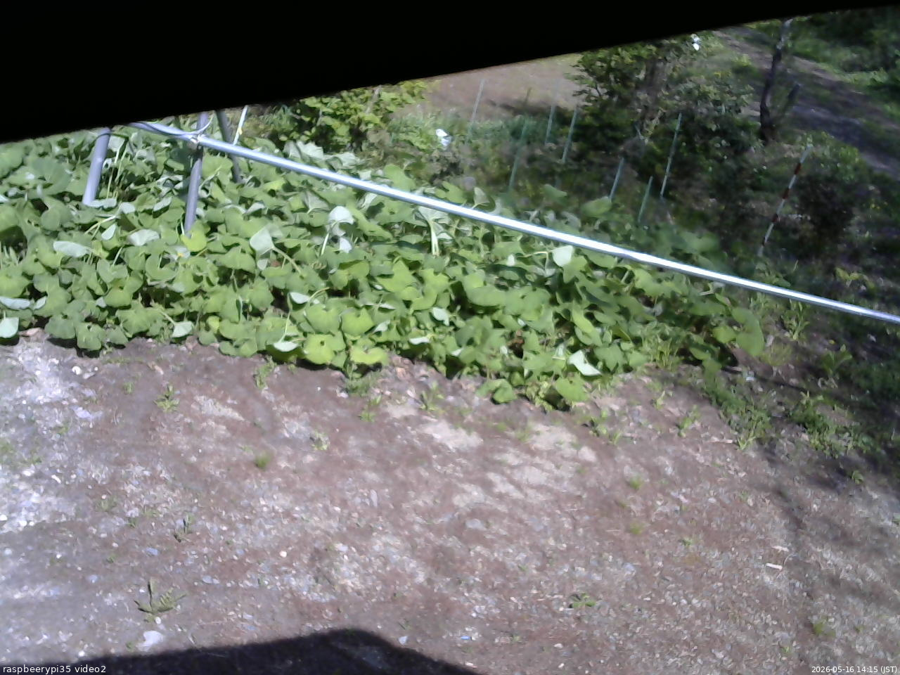 長野県菅平高原 ゆたか山荘 駐車場 2026/05/16 14:15
