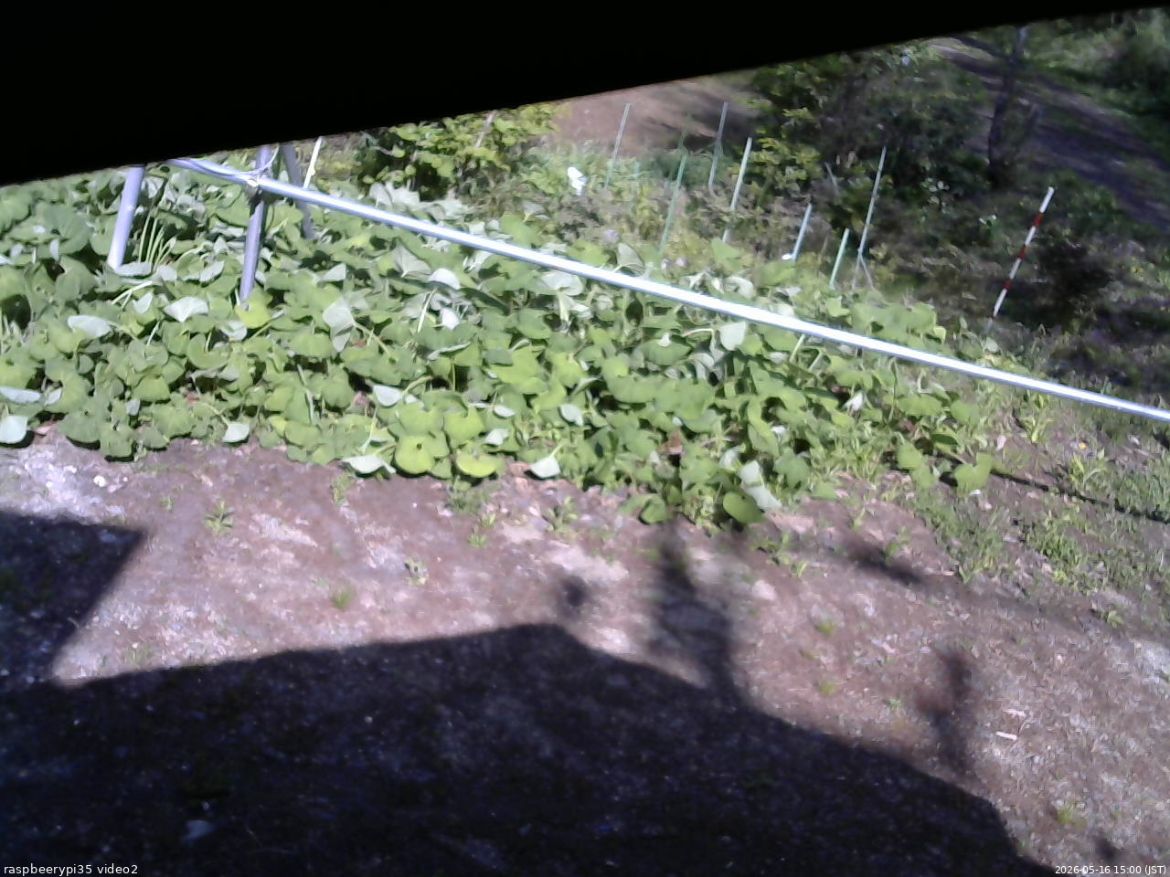 長野県菅平高原 ゆたか山荘 駐車場 2026/05/16 15:00