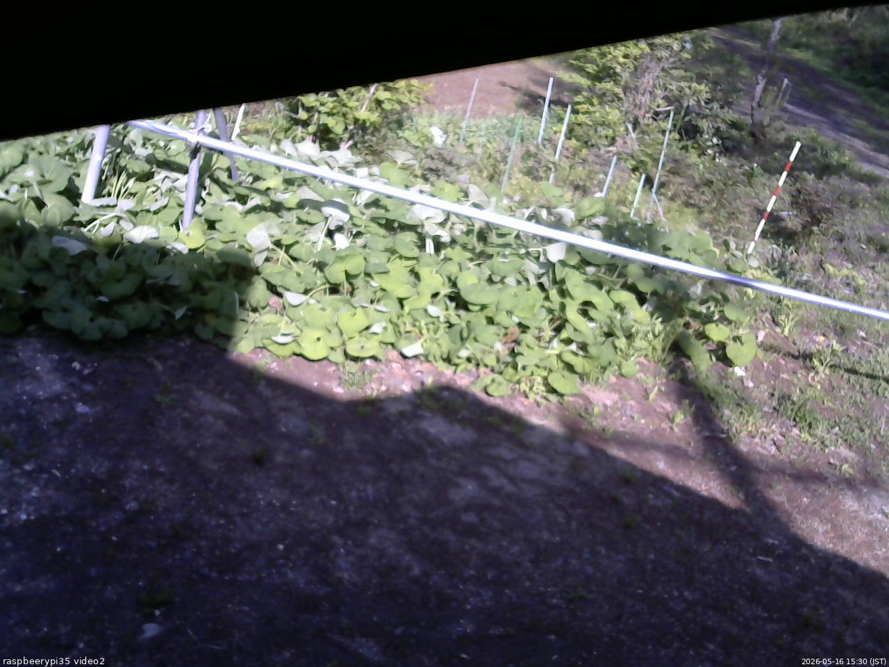 長野県菅平高原 ゆたか山荘 駐車場 2026/05/16 15:30