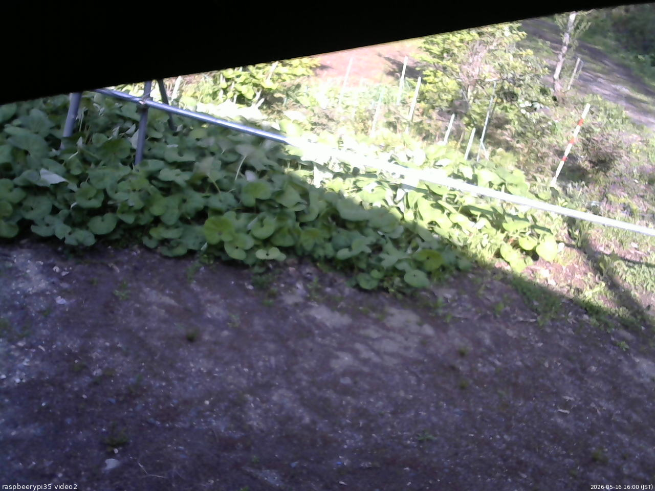 長野県菅平高原 ゆたか山荘 駐車場 2026/05/16 16:00