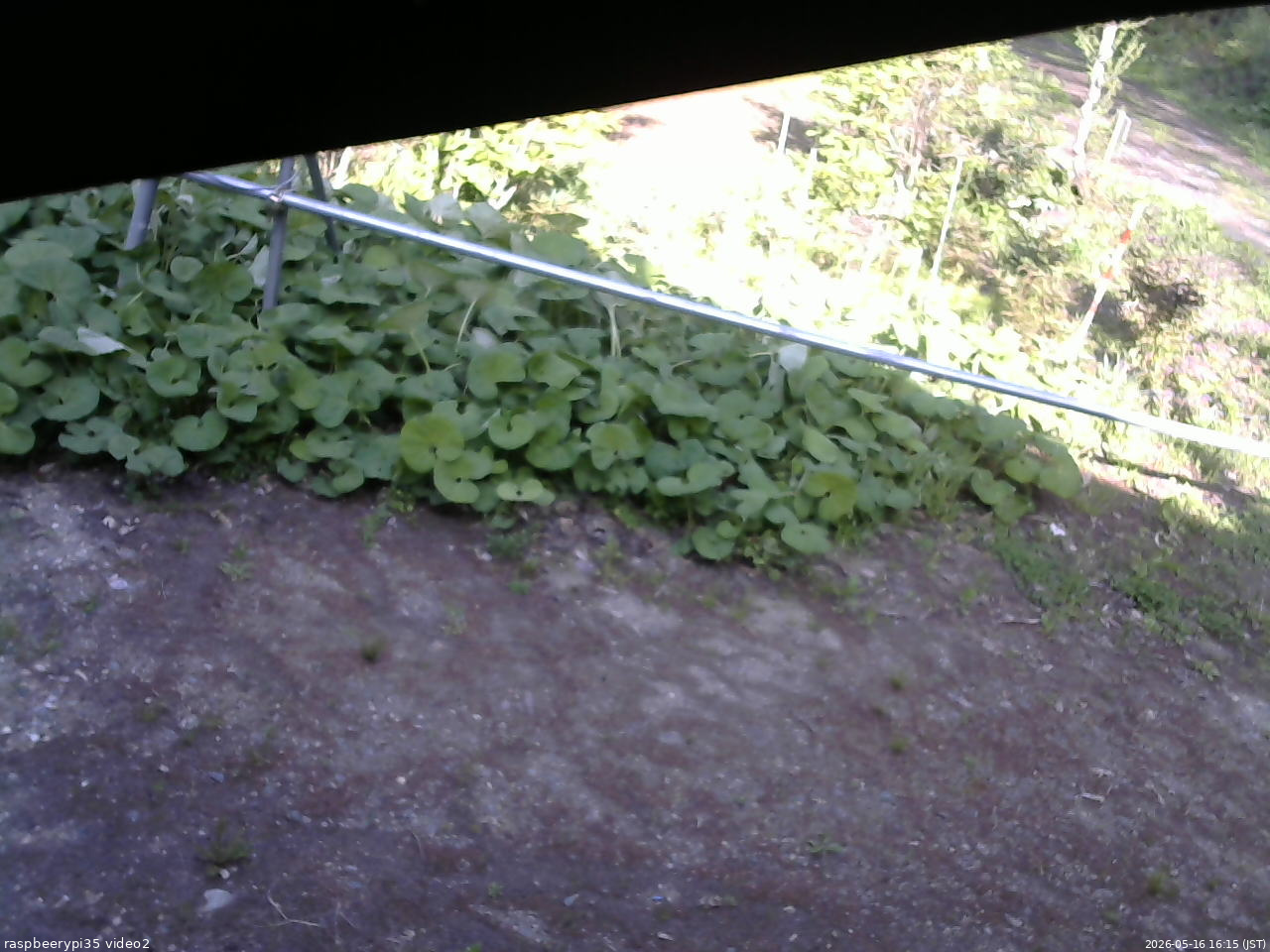 長野県菅平高原 ゆたか山荘 駐車場 2026/05/16 16:15