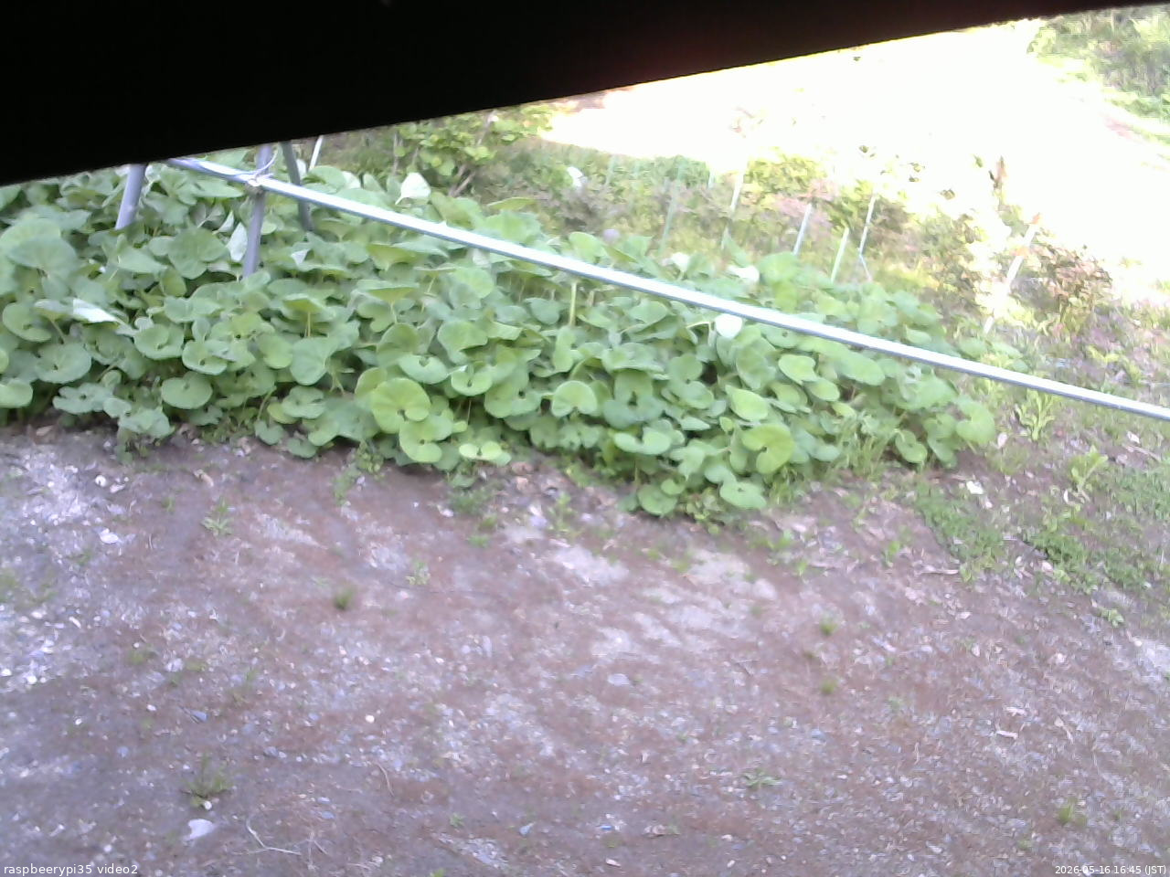 長野県菅平高原 ゆたか山荘 駐車場 2026/05/16 16:45