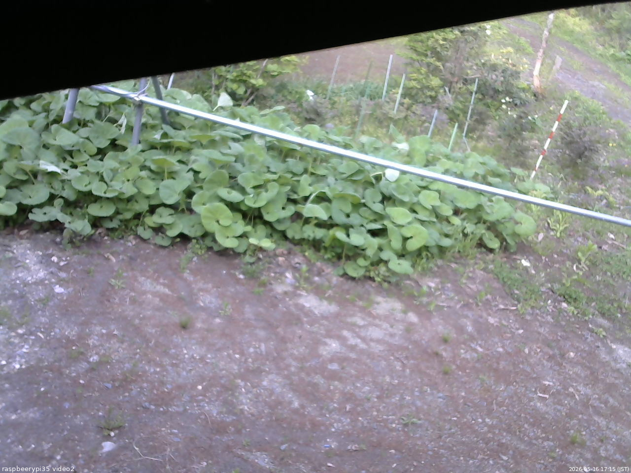 長野県菅平高原 ゆたか山荘 駐車場 2026/05/16 17:15