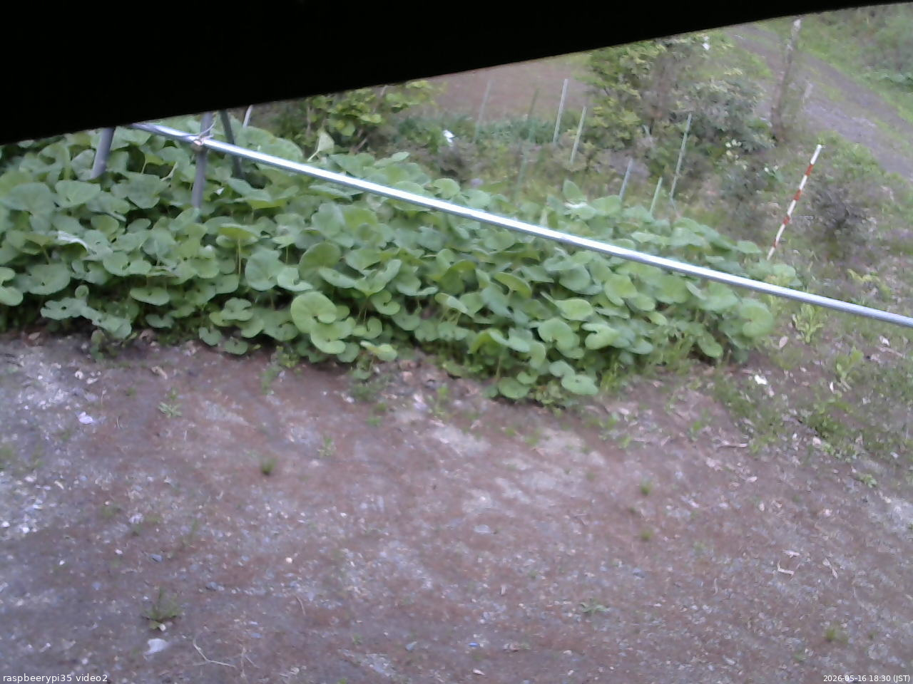 長野県菅平高原 ゆたか山荘 駐車場 2026/05/16 18:30