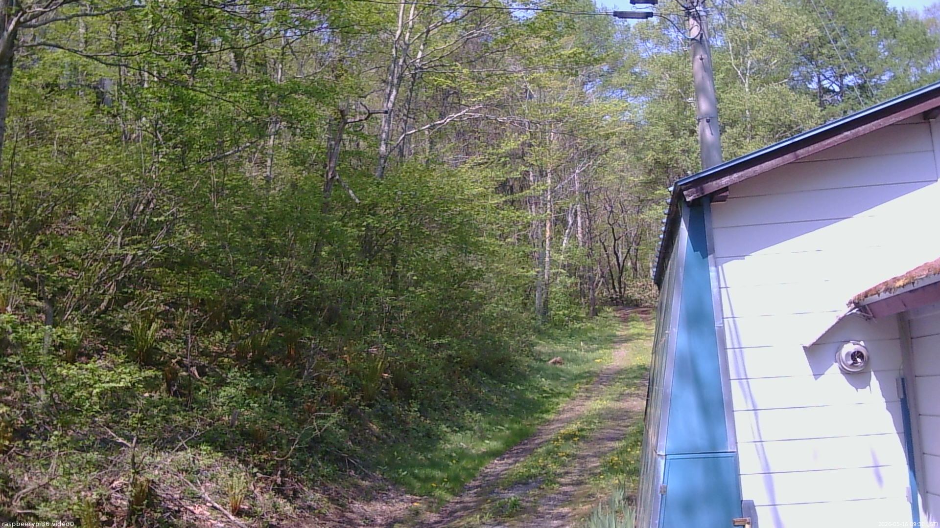 長野県菅平高原 ゆたか山荘 ゆたか山荘 2026/05/16 09:30