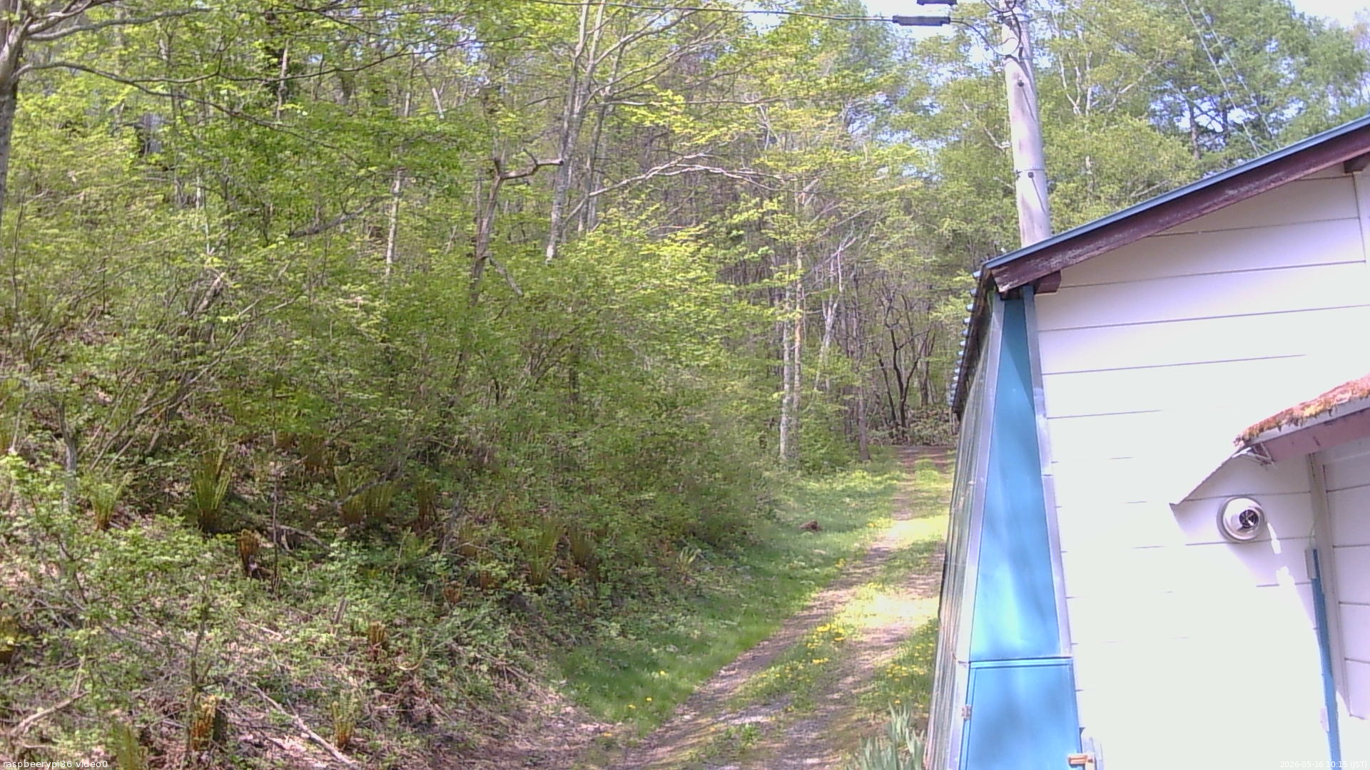 長野県菅平高原 ゆたか山荘 ゆたか山荘 2026/05/16 10:15