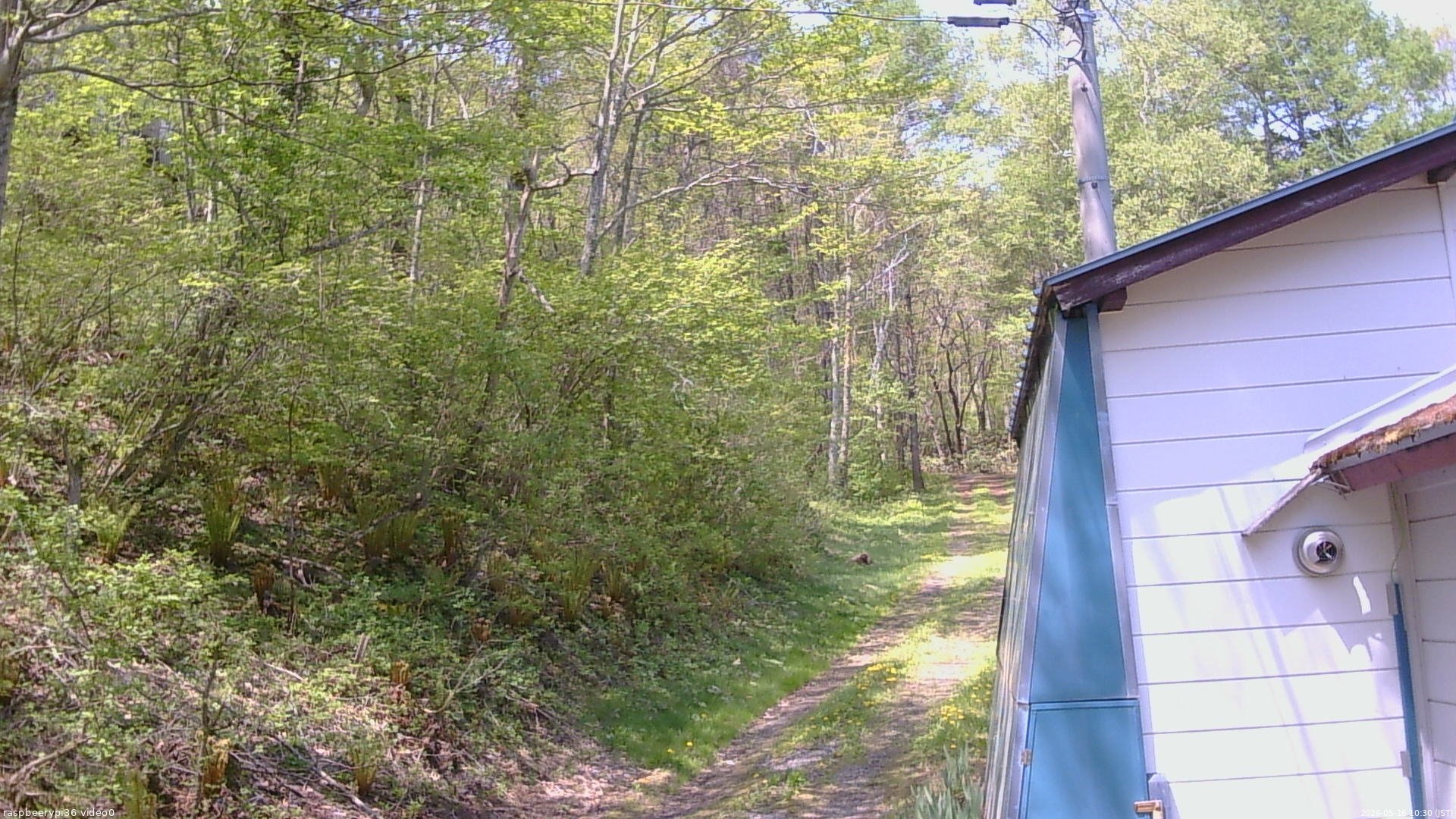 長野県菅平高原 ゆたか山荘 ゆたか山荘 2026/05/16 10:30