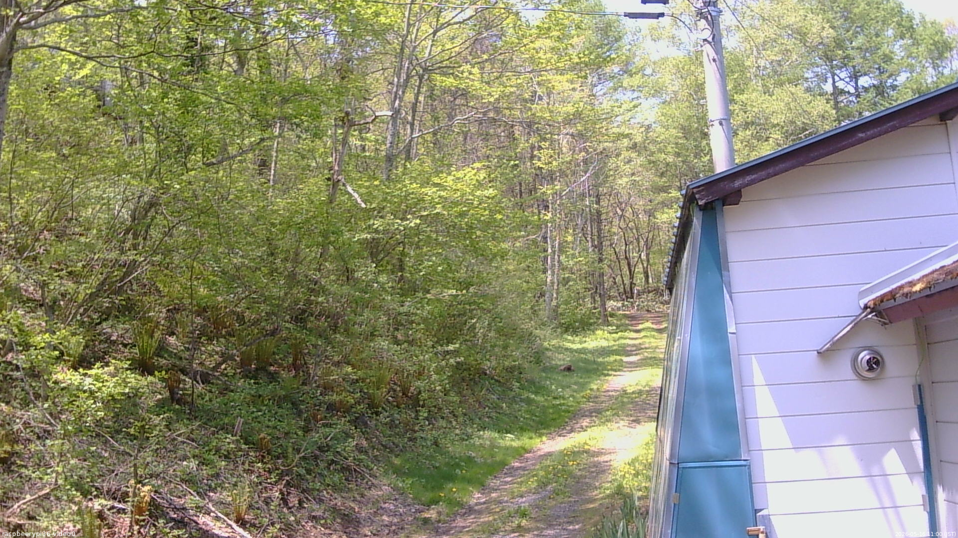 長野県菅平高原 ゆたか山荘 ゆたか山荘 2026/05/16 11:00