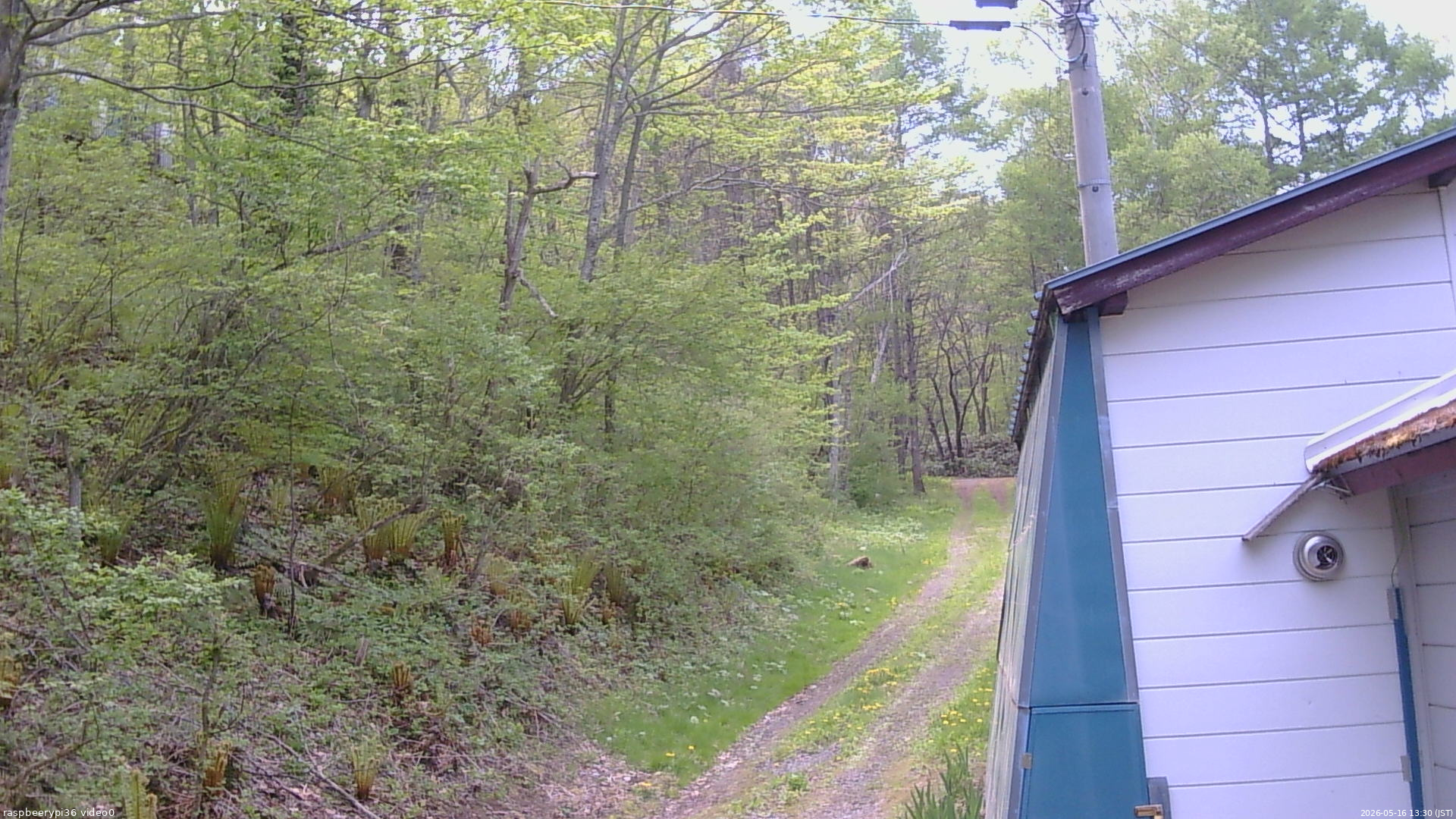 長野県菅平高原 ゆたか山荘 ゆたか山荘 2026/05/16 13:30