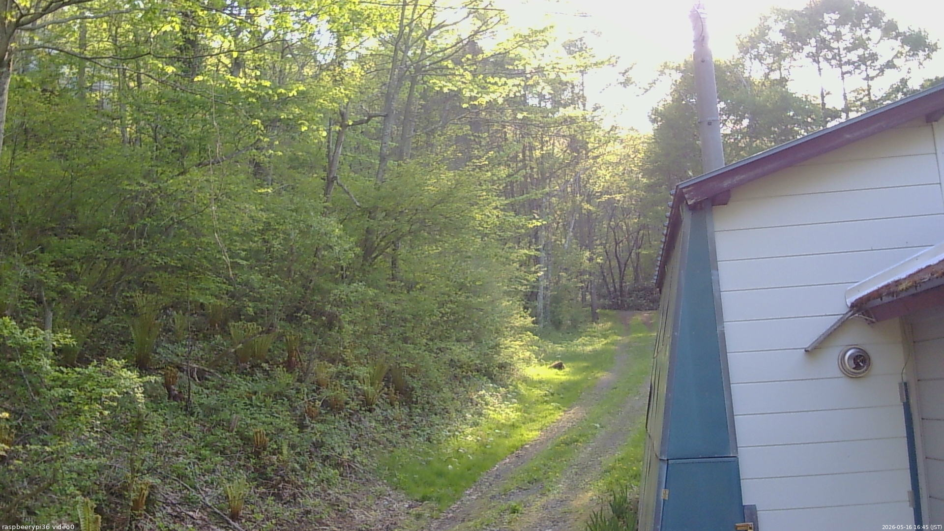 長野県菅平高原 ゆたか山荘 ゆたか山荘 2026/05/16 16:45