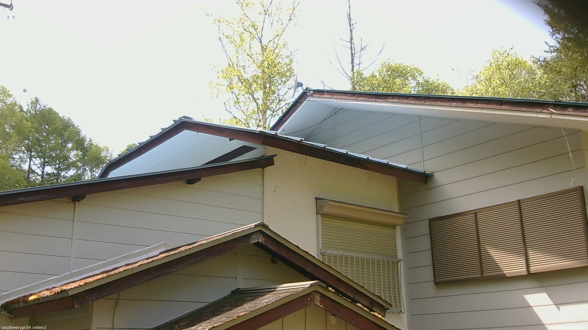 長野県菅平高原 ゆたか山荘 駐車場奥 2026/05/16 14:00