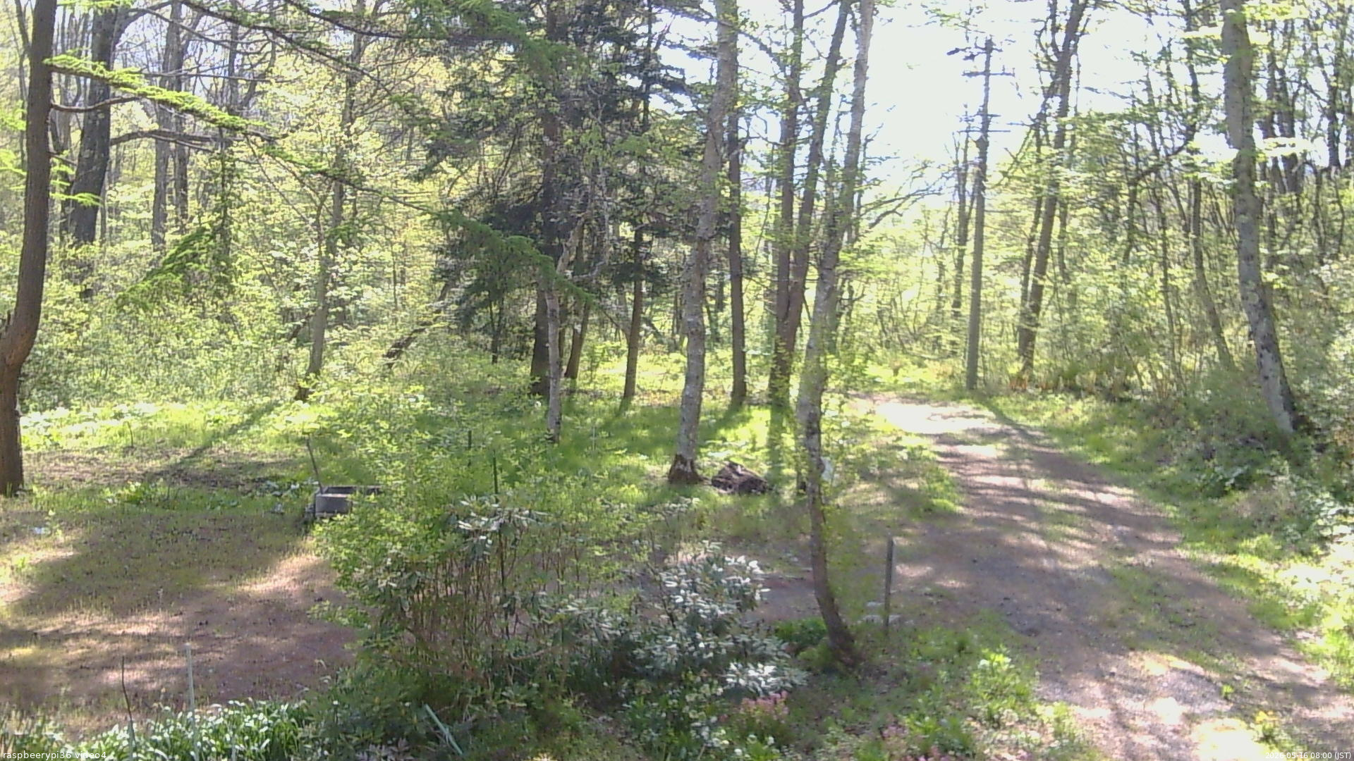 長野県菅平高原 ゆたか山荘 坂上 2026/05/16 08:00