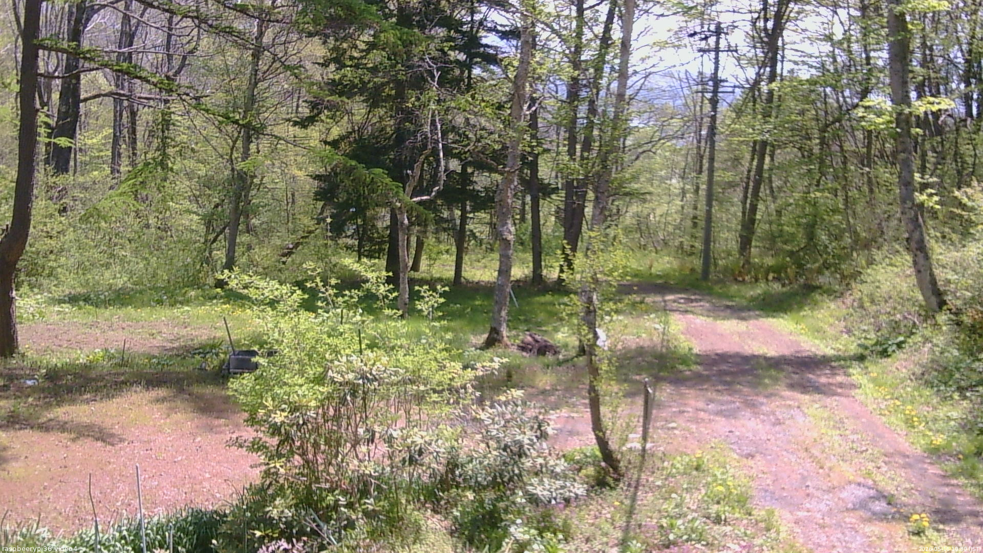 長野県菅平高原 ゆたか山荘 坂上 2026/05/16 10:30