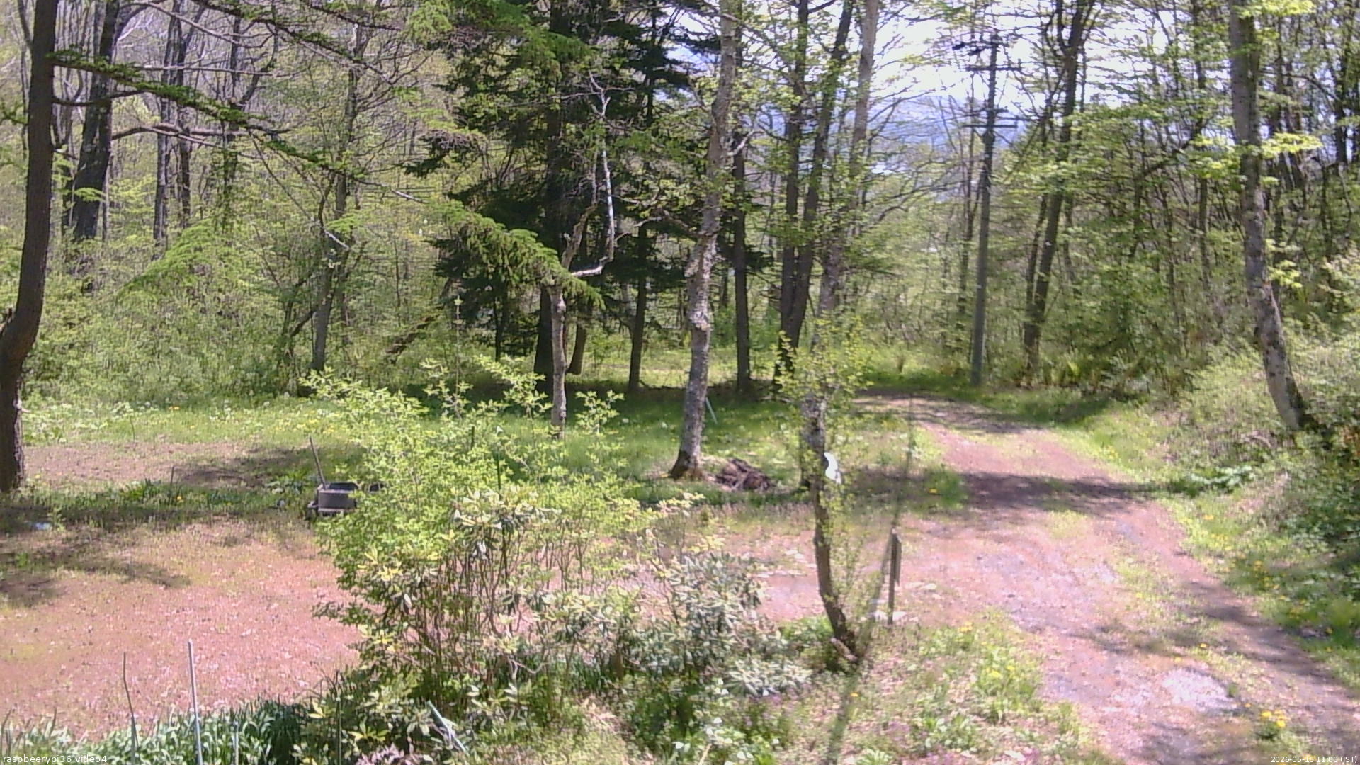 長野県菅平高原 ゆたか山荘 坂上 2026/05/16 11:00