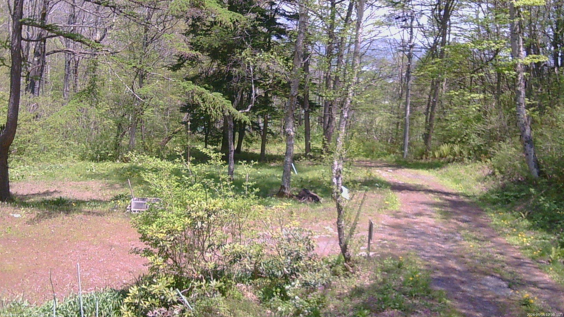長野県菅平高原 ゆたか山荘 坂上 2026/05/16 12:30