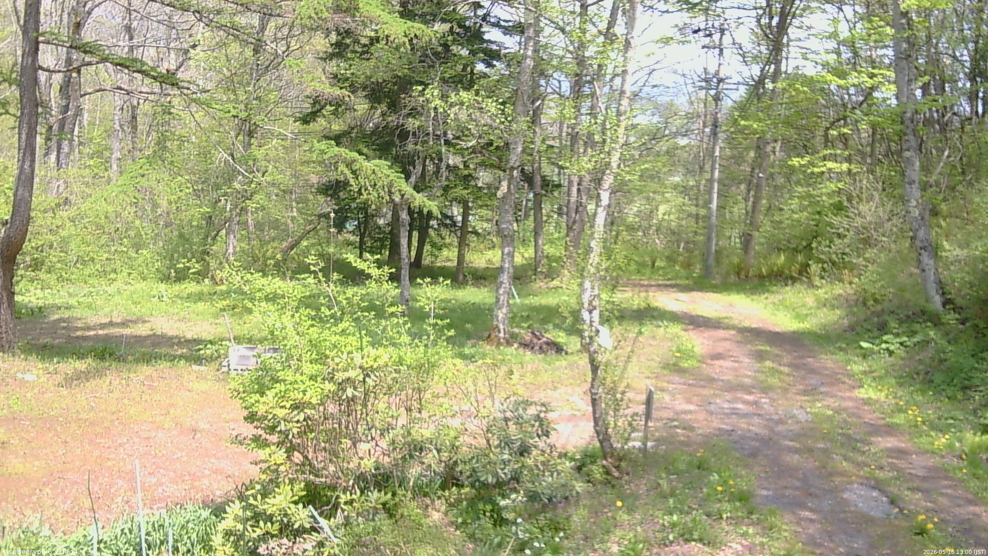 長野県菅平高原 ゆたか山荘 坂上 2026/05/16 13:00
