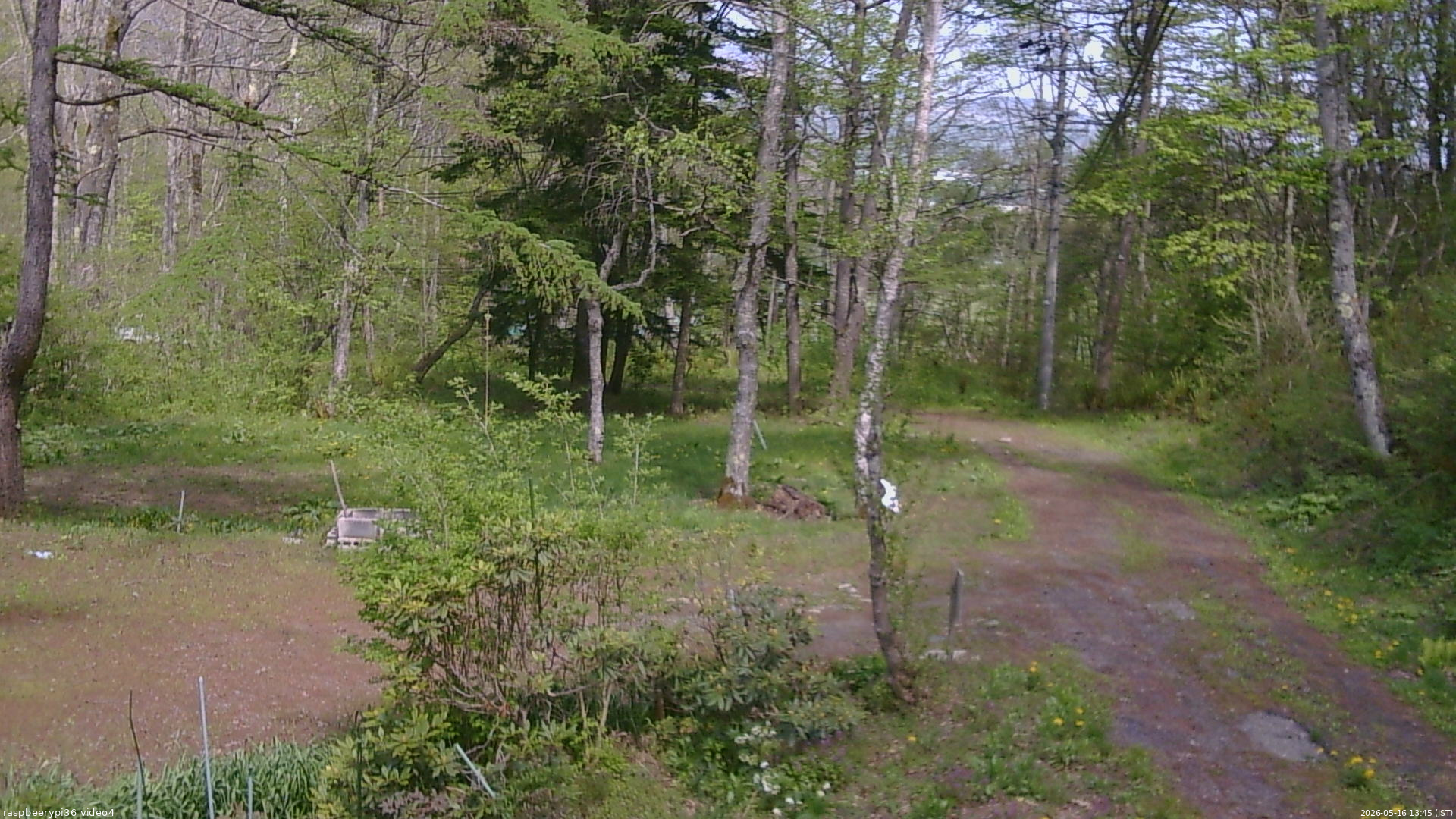 長野県菅平高原 ゆたか山荘 坂上 2026/05/16 13:45