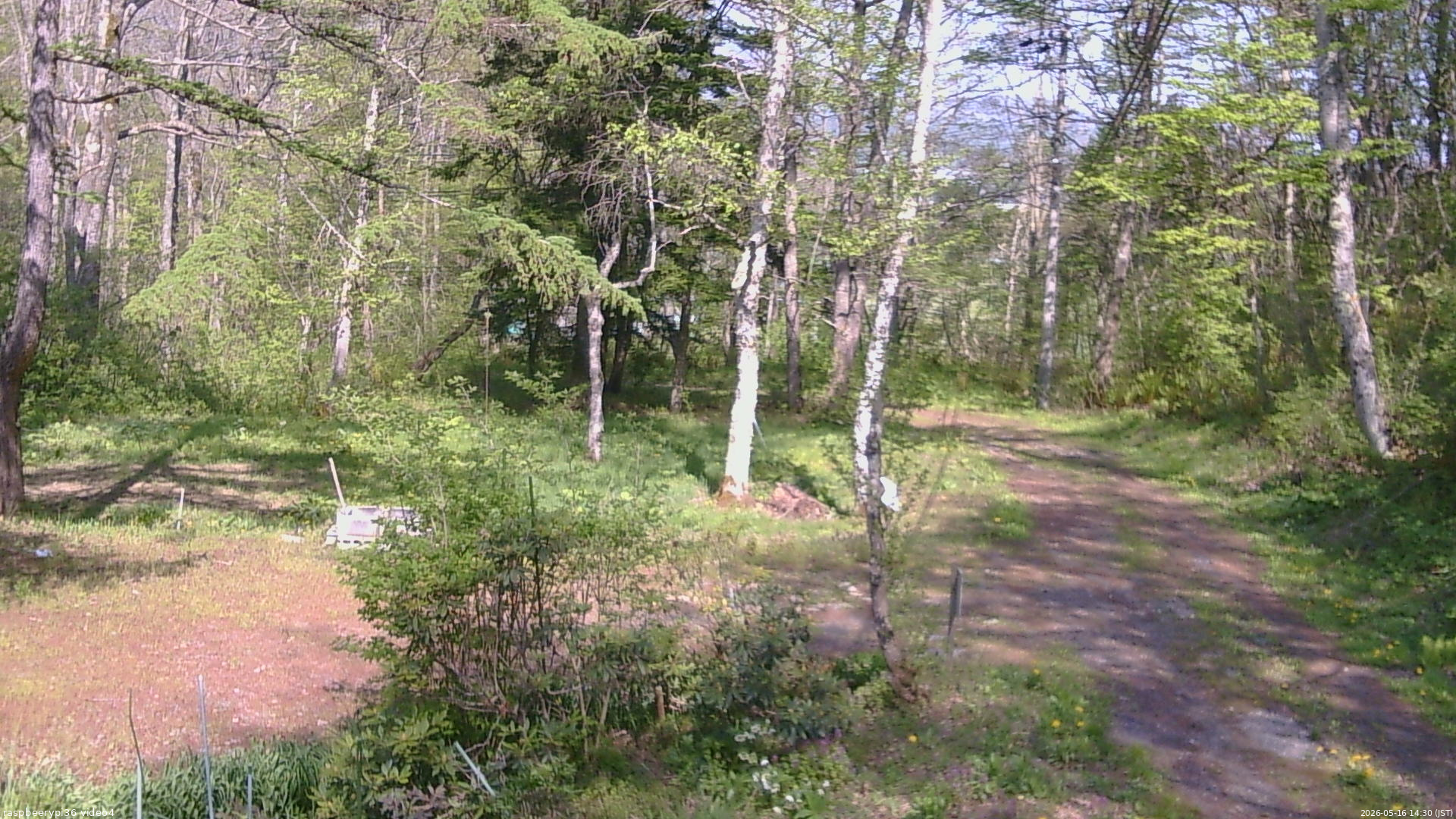 長野県菅平高原 ゆたか山荘 坂上 2026/05/16 14:30