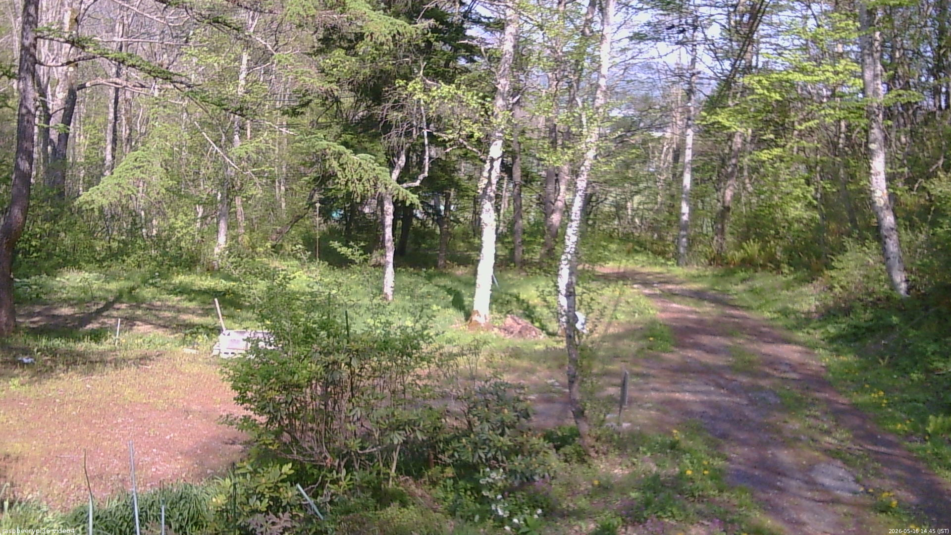 長野県菅平高原 ゆたか山荘 坂上 2026/05/16 14:45