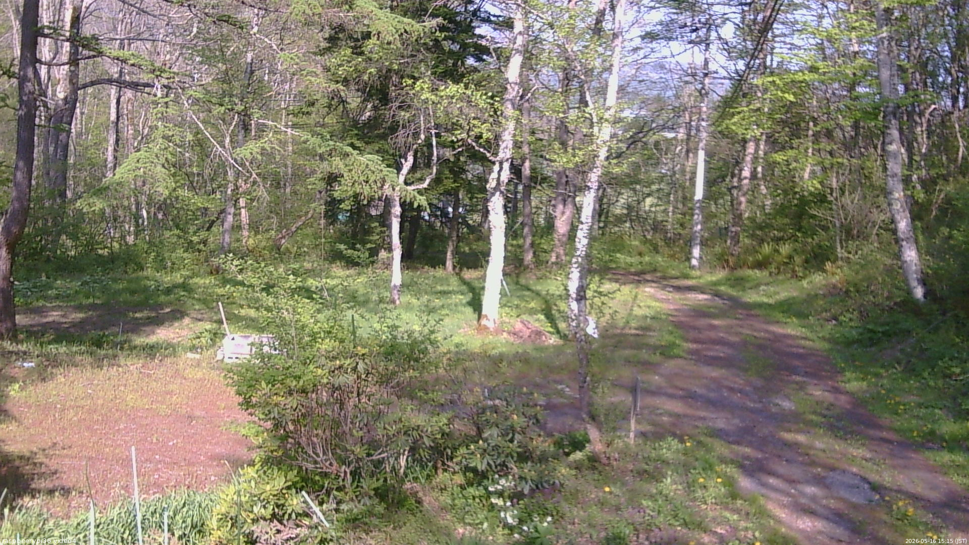 長野県菅平高原 ゆたか山荘 坂上 2026/05/16 15:15