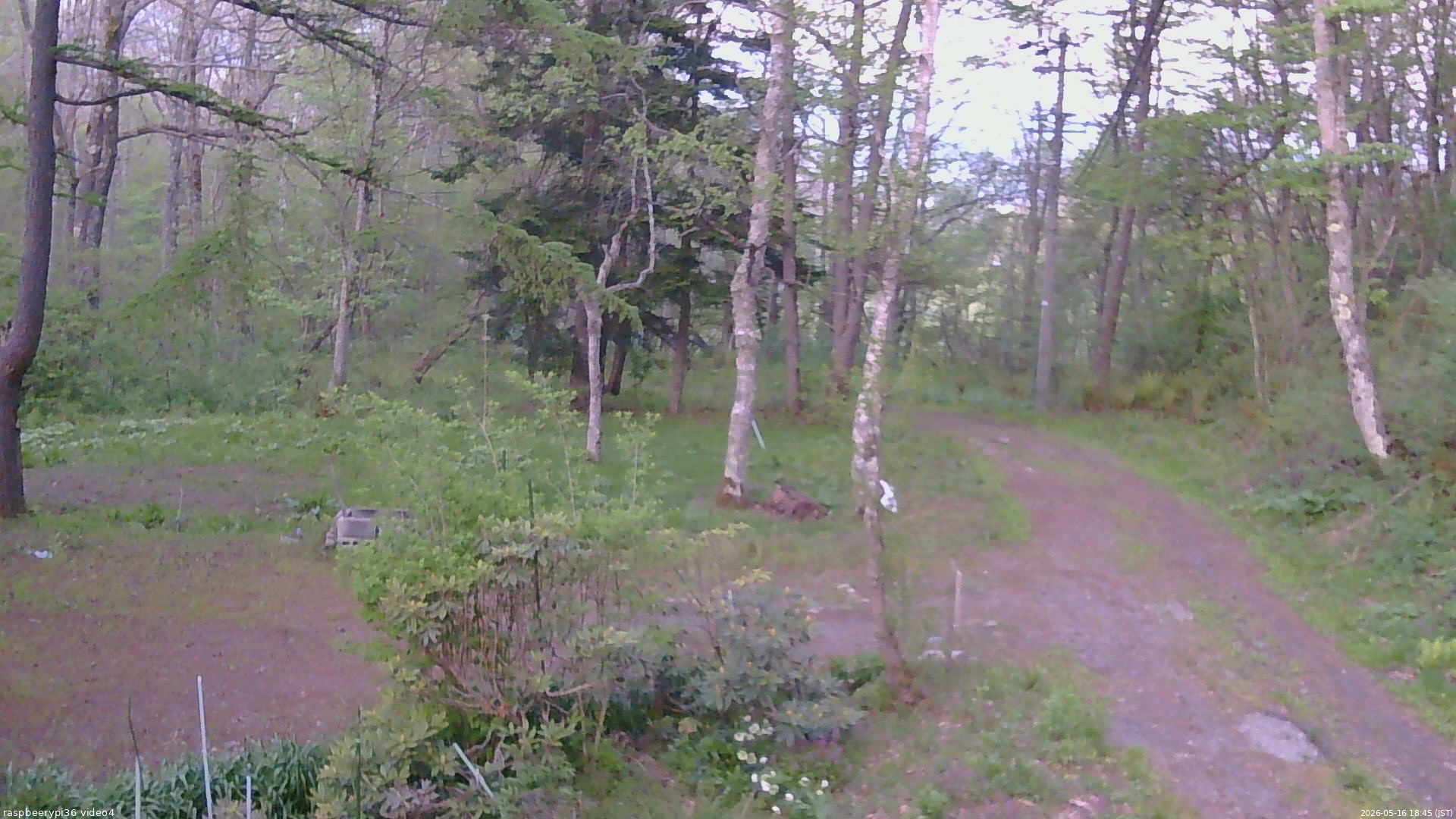 長野県菅平高原 ゆたか山荘 坂上 2026/05/16 18:45