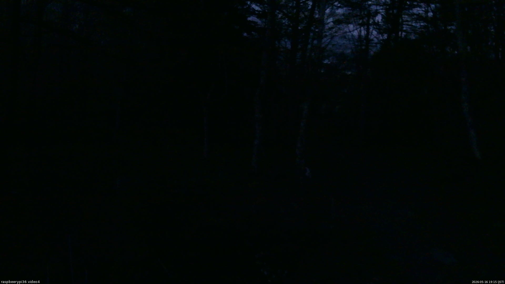 長野県菅平高原 ゆたか山荘 坂上 2026/05/16 19:15