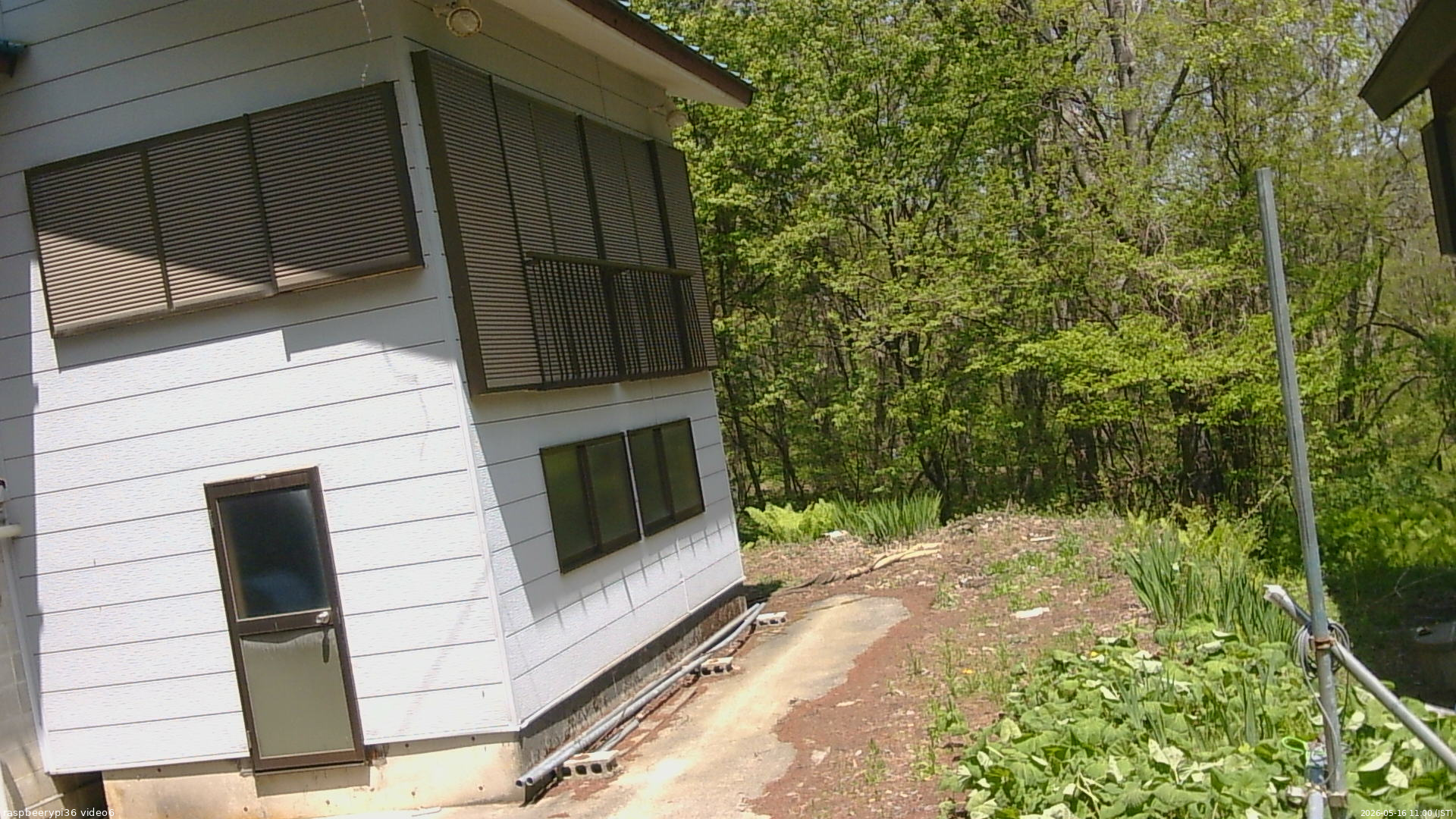 長野県菅平高原 ゆたか山荘 坂下 2026/05/16 11:00