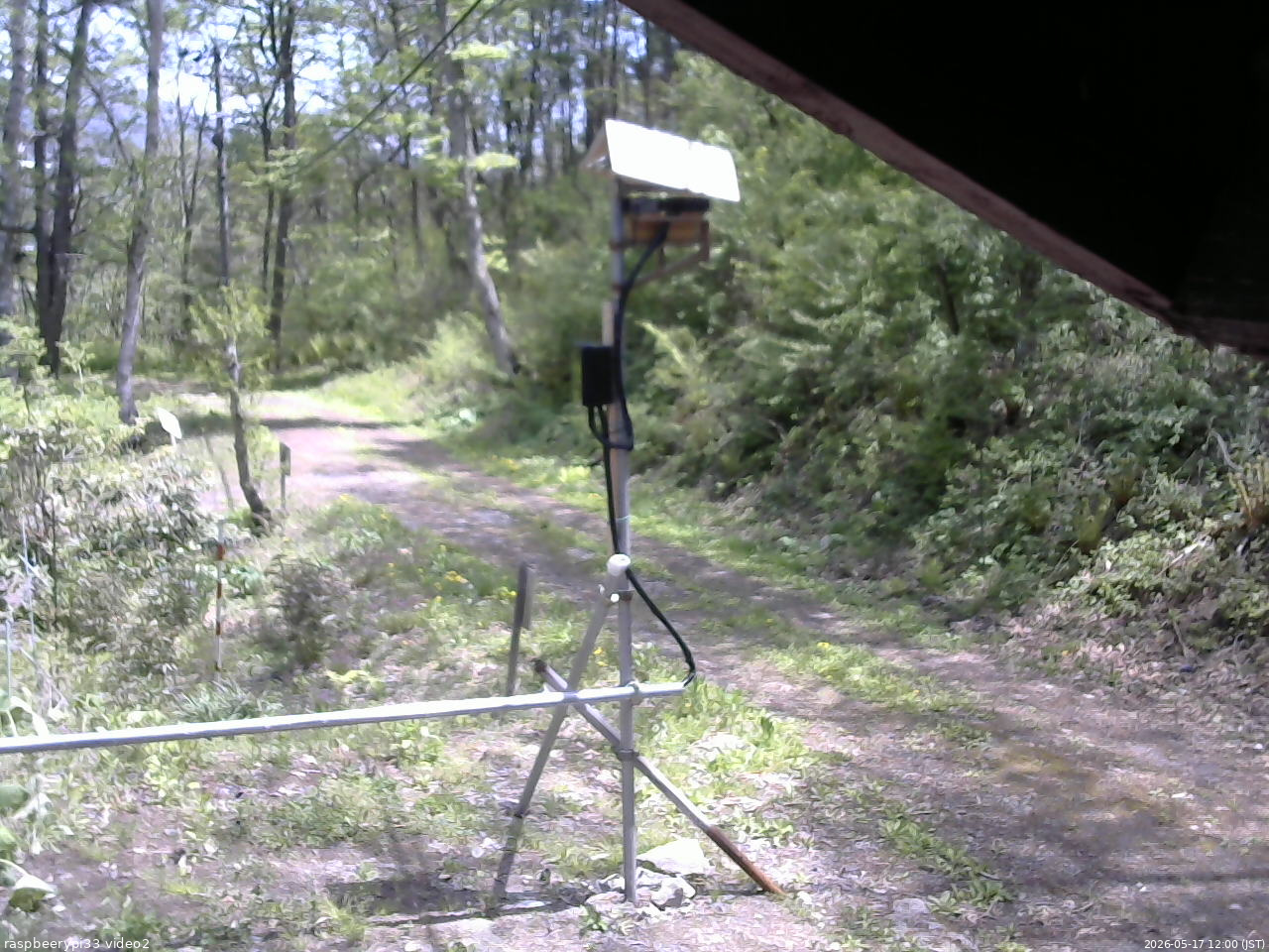 長野県菅平高原 ゆたか山荘 南側 2026/05/17 12:00