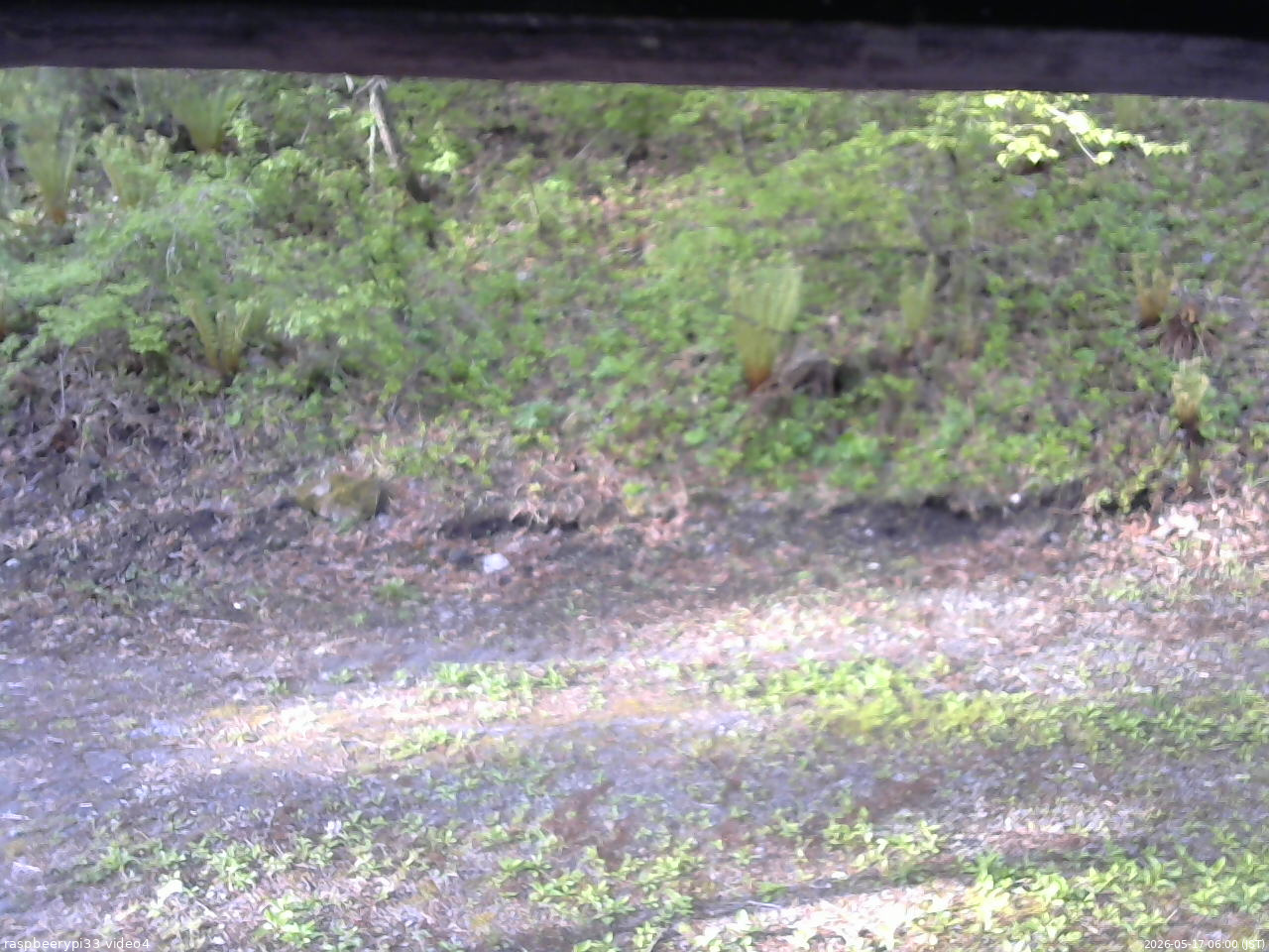 長野県菅平高原 ゆたか山荘 東側(坂下) 2026/05/17 06:00