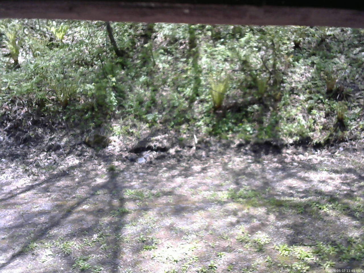 長野県菅平高原 ゆたか山荘 東側(坂下) 2026/05/17 11:45