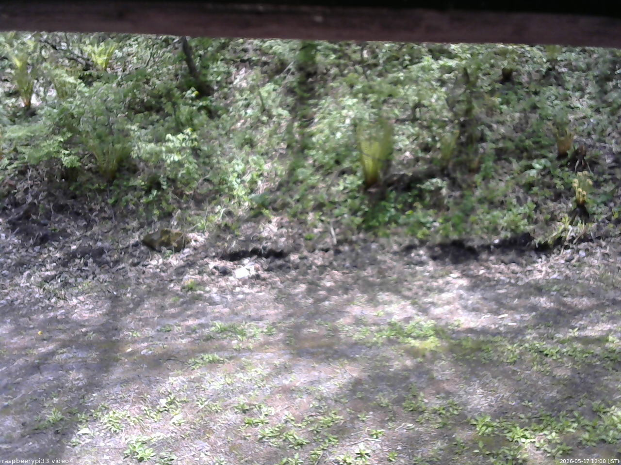長野県菅平高原 ゆたか山荘 東側(坂下) 2026/05/17 12:00