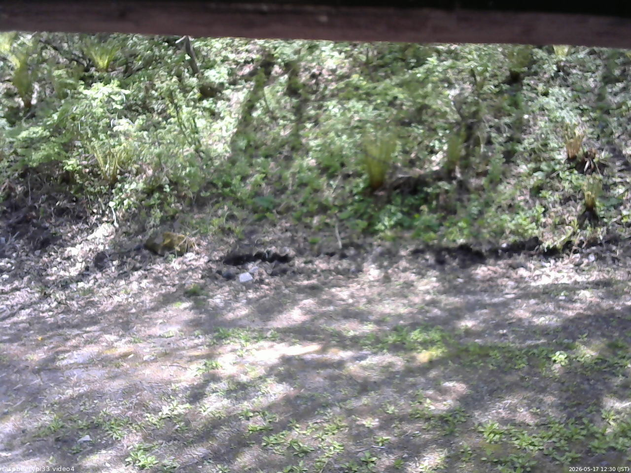 長野県菅平高原 ゆたか山荘 東側(坂下) 2026/05/17 12:30