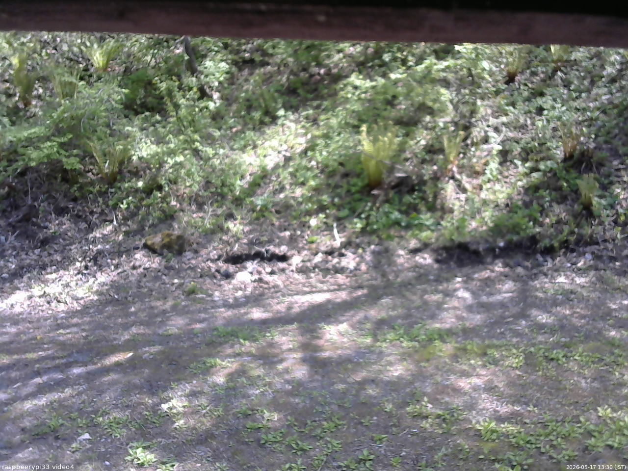 長野県菅平高原 ゆたか山荘 東側(坂下) 2026/05/17 13:30