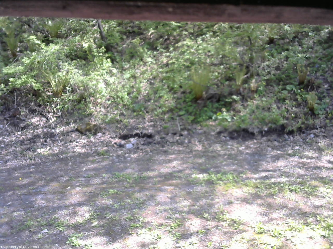 長野県菅平高原 ゆたか山荘 東側(坂下) 2026/05/17 14:15