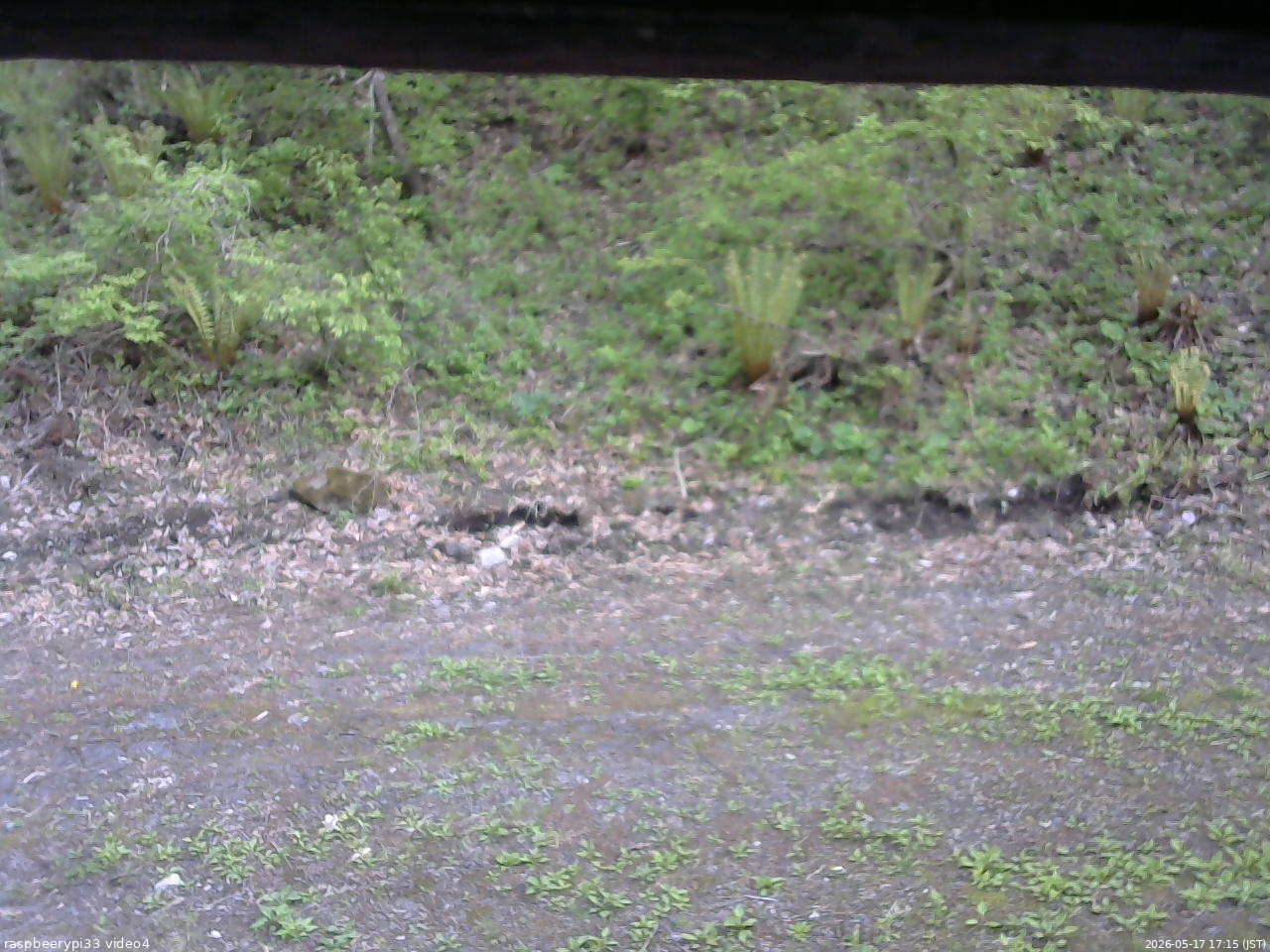 長野県菅平高原 ゆたか山荘 東側(坂下) 2026/05/17 17:15