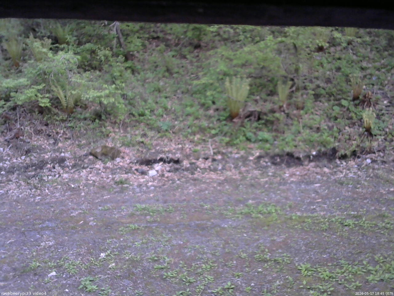 長野県菅平高原 ゆたか山荘 東側(坂下) 2026/05/17 18:45