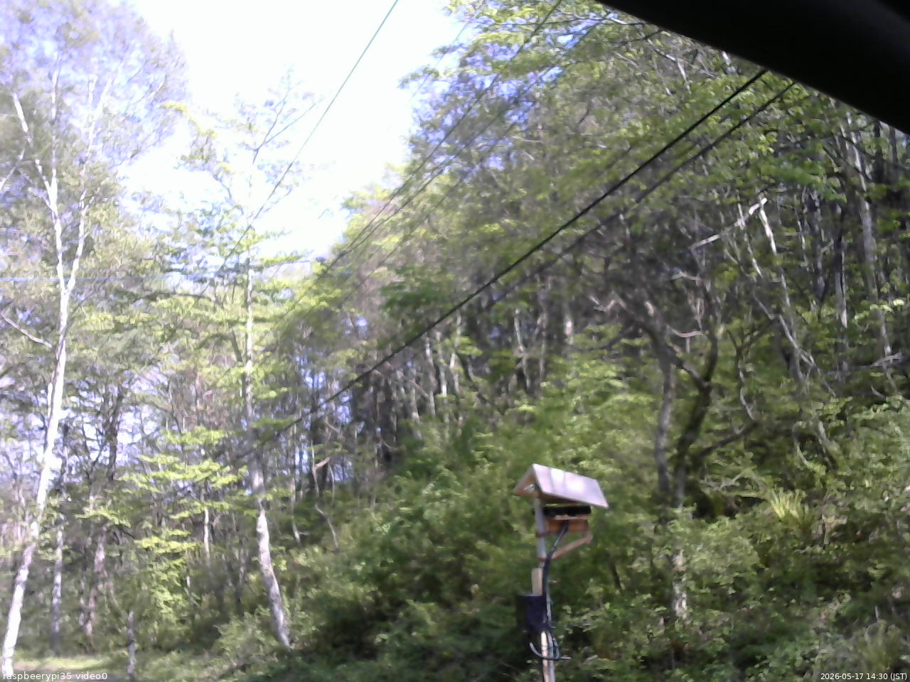 長野県菅平高原 ゆたか山荘 温度計 2026/05/17 14:30