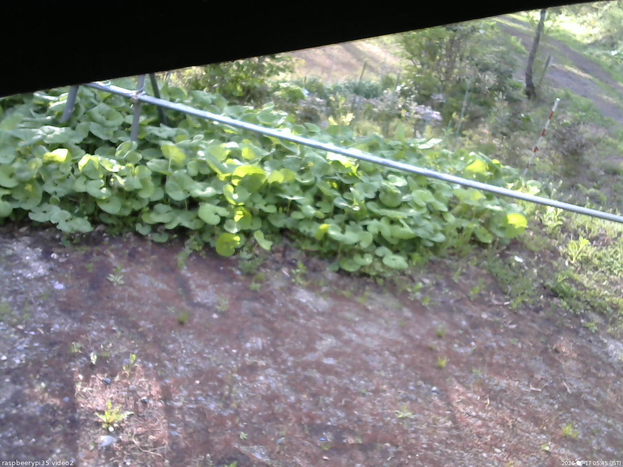 長野県菅平高原 ゆたか山荘 駐車場 2026/05/17 05:45