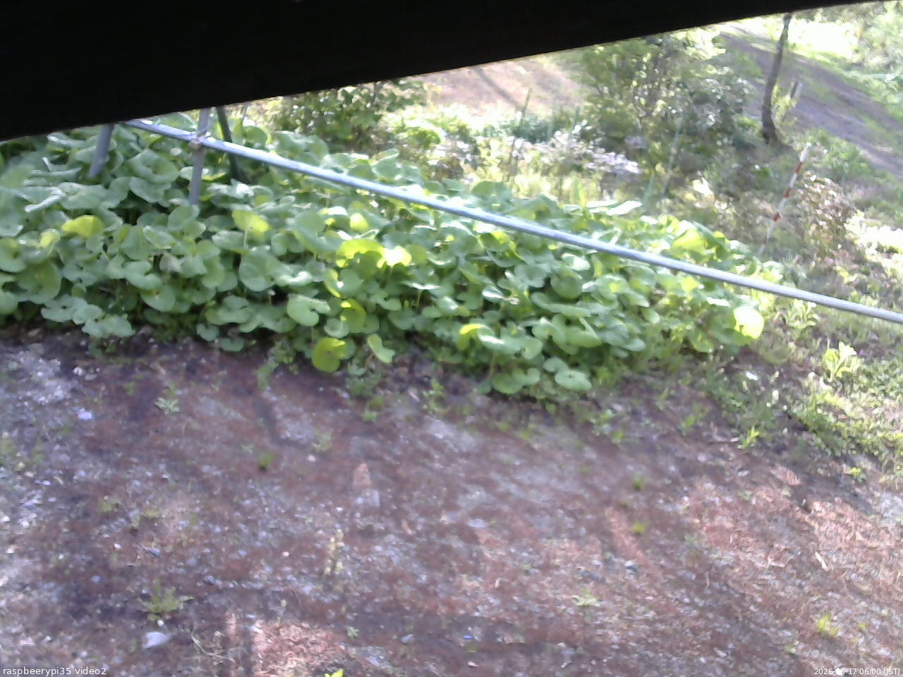 長野県菅平高原 ゆたか山荘 駐車場 2026/05/17 06:00