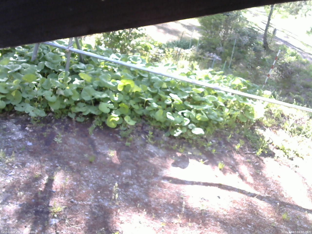 長野県菅平高原 ゆたか山荘 駐車場 2026/05/17 06:45