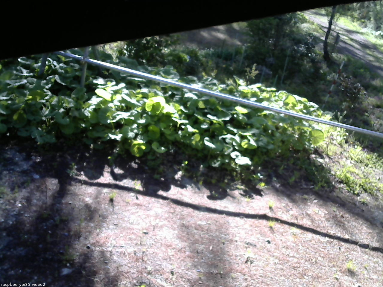 長野県菅平高原 ゆたか山荘 駐車場 2026/05/17 07:00