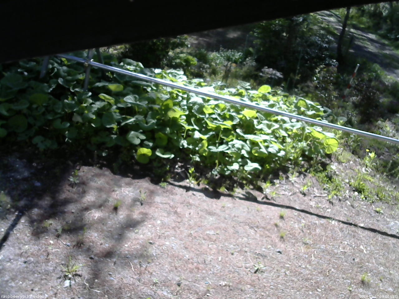 長野県菅平高原 ゆたか山荘 駐車場 2026/05/17 08:00