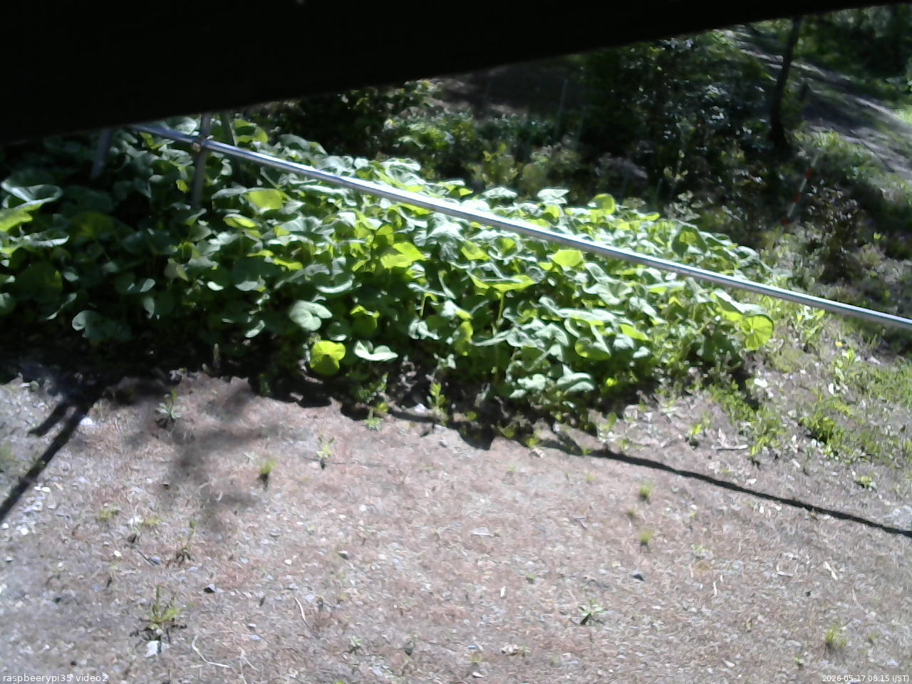 長野県菅平高原 ゆたか山荘 駐車場 2026/05/17 08:15