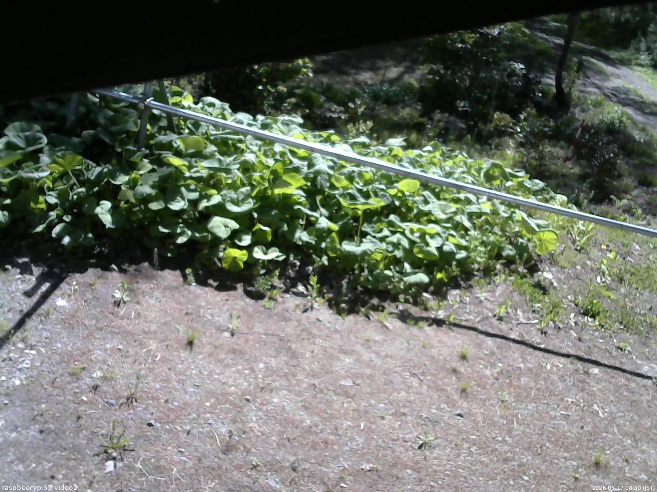 長野県菅平高原 ゆたか山荘 駐車場 2026/05/17 08:30