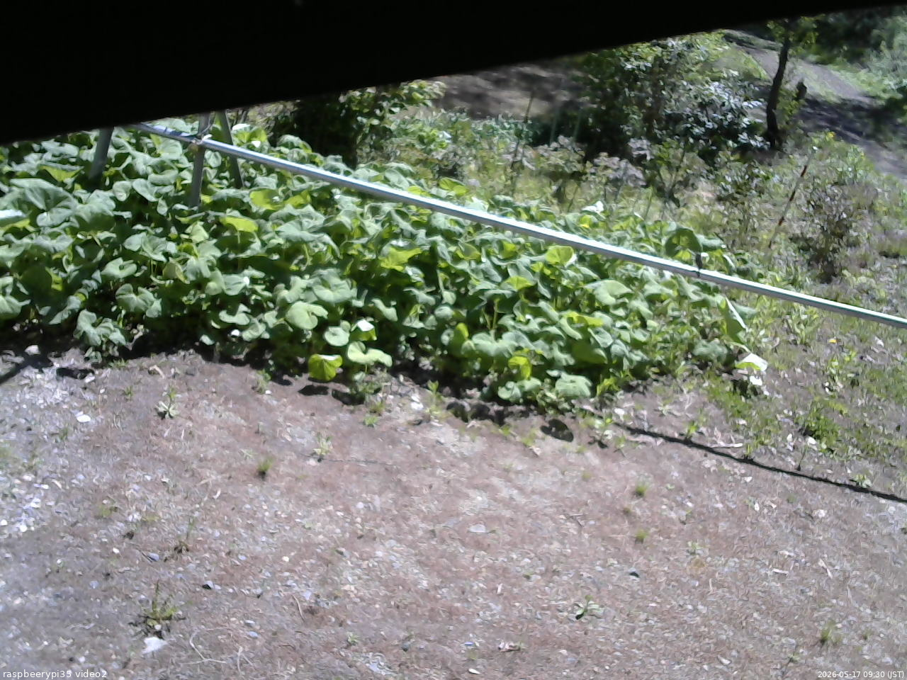 長野県菅平高原 ゆたか山荘 駐車場 2026/05/17 09:30