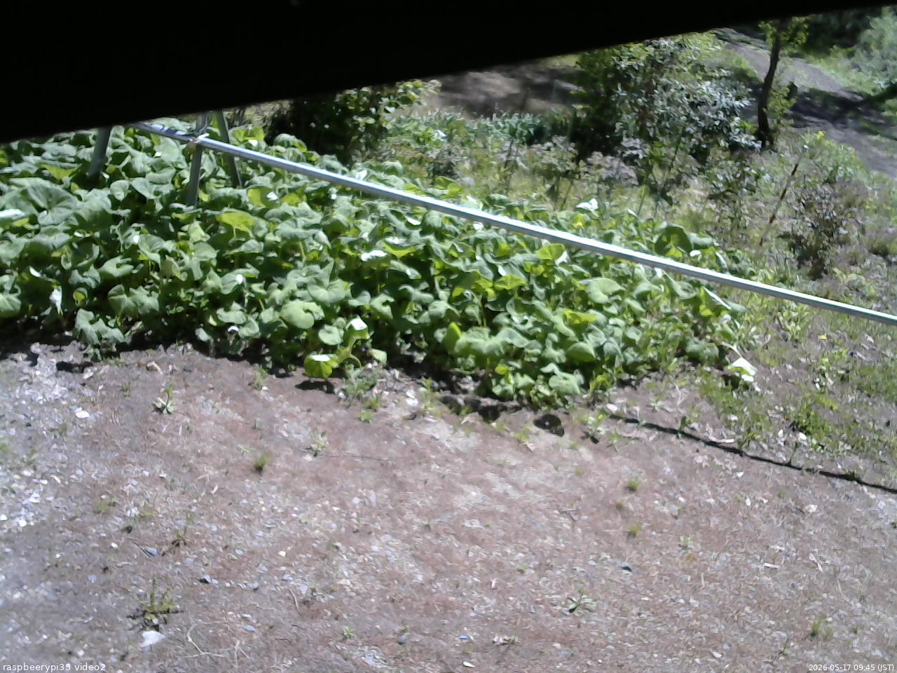長野県菅平高原 ゆたか山荘 駐車場 2026/05/17 09:45