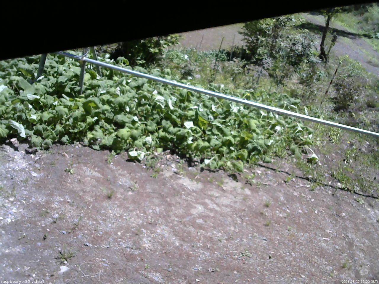 長野県菅平高原 ゆたか山荘 駐車場 2026/05/17 11:00